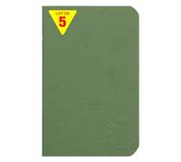 Clairefontaine 734103CPack Age Bag Collection A Set of 5 Green Stapled Notebooks - 9x14 cm - 96 Plain White Pages - 90 g Paper - Leather Glossy Card Covers