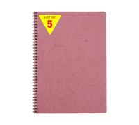 Clairefontaine 781426CPack Age Bag Collection Set of 5 Antique Pink Spiral Notebooks A4 21x29.7cm - 100 Small Squared Pages 90g White Paper Leather Card Cover