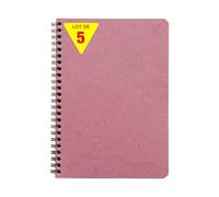 Clairefontaine 785666CPack Age Bag Set of 5 Antique Pink A5 14.8x21cm 120 Detachable Pages + 3 Dividers with Storage Pockets - Grain Leather Glossy Card Cover
