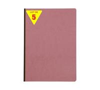Clairefontaine 791466CPack Age Bag Collection Set of 5 Antique Pink Cloth Spine Stitched Notebooks A4 21x29.7cm - 192 Lined Pages 90g White Paper Leather Cover