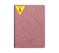 Clairefontaine 795466CPack Age Bag Collection Set of 5 Sewn Notebooks Canvas Back Antique Pink A5 14.8x21cm - 192 Lined Pages - White Paper 90g - Leather Cover