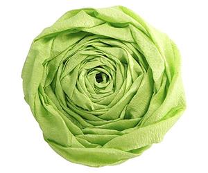 Clairefontaine 901019C - Pack of 10 Sheets of Crepe Paper - Apple Green - Format 2x0.50m - Crepe 40% - Creative leisure for Adults and Children Arts Crafts