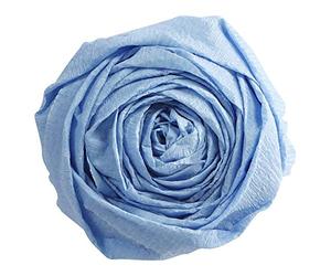 Clairefontaine 901027C Pack of 10 Sheets of Crepe Paper - Sky Blue - Format 2x0.50m - Crepe 40% - Creative leisure for Adults and Children - Arts & Crafts