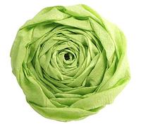 Clairefontaine 903019C Pack of 10 Sheets of Crepe Paper Apple Green Format 2.50x0.50m - Crepe 60% - Elastic and Resistant - Arts and Crafts Creative Leisure