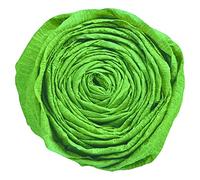 Clairefontaine 903050C - Pack of 10 Sheets of Crepe Paper - Colour Empire Green - Format 2.50x0.50m Crepe 60% Elastic Resistant Creative leisure Arts Crafts