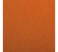 Clairefontaine 93773C - Etival Colour Paper Pack - 24 sh of Orange Grain
