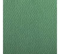 Clairefontaine 93778C - Etival Colour Paper Pack - 24 sh of Dark Green