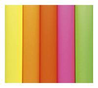 Clairefontaine 93820C Pack of 25 Fluorescent Poster Paper 90g/m² Format 60x80cm Cutting Writing Collage Creative Leisure Activity Adults Children Ast Colours