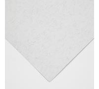 Clairefontaine : Ingres : Pastel Paper : Sheet : 50x65cm : Pale Grey
