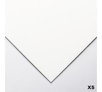 Clairefontaine - Ref 197016C - Pastelmat Card Sheets (Pack of 5 Sheets) - 360gsm Card - 24 x 32cm - White Colour - Specially Formulated For Use With Pastels