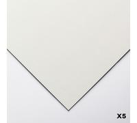 Clairefontaine - Ref 197010C - Pastelmat Card Sheets (Pack of 5 Sheets) - 360gsm Card - 24 x 32cm - Light Grey Colour - Specially Formulated For Use With Pastels