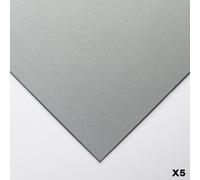 Clairefontaine : Pastelmat : Pastel Paper : Pack of 5 Sheets : 24x32cm (Apx.9...