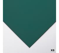 Clairefontaine : Pastelmat : Pastel Paper : Pack of 5 Sheets : 24x32cm (Apx.9...