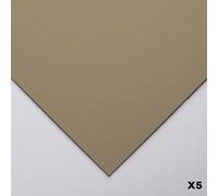 Clairefontaine - Ref 197013C - Pastelmat Card Sheets (Pack of 5 Sheets) - 360gsm Card - 24 x 32cm - Brown Colour - Specially Formulated For Use With Pastels