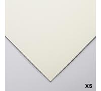 Clairefontaine : Pastelmat : Pastel Paper : Pack of 5 Sheets : 24x32cm : Sand