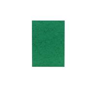 Clairefontaine - Ref 3142Z - Europa Coloured Card (Pack of 50 Sheets) - A3 (420 x 297mm) Size, 265gsm, 300 Micron Mottled Pressboard, Acid Free - Green Colour