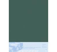 Clairefontaine - Ref 396009C - Pastelmat Mounted Board (5 Sheets) - 1800 Microns - 70 x 100cm - Anthracite Colour - Specially Formulated For Use With Pastels