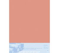 Clairefontaine - Ref 396012C - Pastelmat Mounted Board (5 Sheets) - 1800 Microns - 70 x 100cm - Sienna Colour - Specially Formulated For Use With Pastels