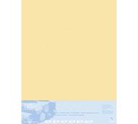 Clairefontaine - Ref 396023C - Pastelmat Mounted Board (5 Sheets) - 1800 Microns - 70 x 100cm - Maize Colour - Specially Formulated For Use With Pastels