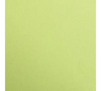 Clairefontaine - Ref 48052C - Maya Coloured Smooth Drawing Paper (Pack of 25 Sheets) - 270gsm Paper - A3 (42 x 29.7cm) - Moss Green Colour - Deep Dyed, Acid Free, pH Neutral