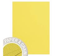 Clairefontaine - Ref 48251C - Pollen Grained Paper (Pack of 25 Sheets) - A4 Sized, 210gsm Grained Card, Acid Free, Inkjet & Laser Printer Compatible - Watermelon