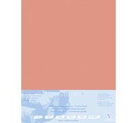 Clairefontaine - Ref 496012C - Pastelmat Mounted Board (5 Sheets) - 1800 Microns - 50 x 70cm - Sienna Colour - Specially Formulated For Use With Pastels