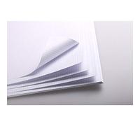 Clairefontaine - Ref 93325C - Bristol Graduated Sheets (25 Sheets) - 50 x 65cm Size, 205gsm Paper, Squared Rulings - Suitable for Pencil, Technical Pen, Indian Ink, Felt Nibs