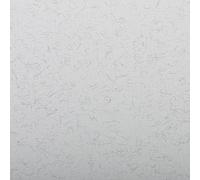 Clairefontaine - Ref 93500C - Ingres Pastel Coloured Paper (Pack of 25 Sheets) - 50 x 65cm, 130gsm Drawing Paper, Pale Grey - Suitable for All Dry Techniques
