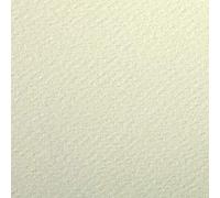 Clairefontaine - Ref 93792C - Etival Coloured Grained Drawing Paper (24 Sheets of Paper) - 50 x 65cm - 160gsm Cellulose Art Paper - Pale Green - Acid Free, pH Neutral