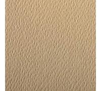Clairefontaine - Ref 93866C - Etival Coloured Grained Drawing Paper (Pack of 25 Sheets) - A4 (29.7 x 21cm) - 160gsm Cellulose Art Paper - Camel - Acid Free, pH Neutral