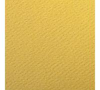 Clairefontaine - Ref 93871C - Etival Coloured Grained Drawing Paper (Pack of 25 Sheets) - A4 (29.7 x 21cm) - 160gsm Cellulose Art Paper - Buttercup - Acid Free, pH Neutral