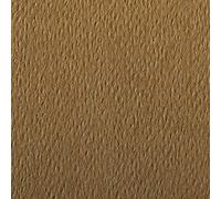 Clairefontaine - Ref 93877C - Etival Coloured Grained Drawing Paper (Pack of 25 Sheets) - A4 (29.7 x 21cm) - 160gsm Cellulose Art Paper - Tobacco - Acid Free, pH Neutral