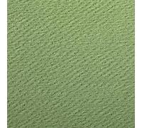 Clairefontaine - Ref 93896C - Etival Coloured Grained Drawing Paper (Pack of s5 Sheets) - A4 (29.7 x 21cm) - 160gsm Cellulose Art Paper - Apple Green - Acid Free, pH Neutral