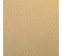 Clairefontaine - Ref 93897C - Etival Coloured Grained Drawing Paper (Pack of 25 Sheets) - A4 (29.7 x 21cm) - 160gsm Cellulose Art Paper - Maize - Acid Free, pH Neutral