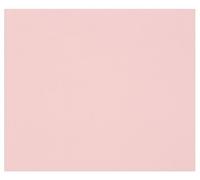 Clairefontaine - Ref 960483C - Tulipe Grained Coloured Drawing Paper (Pack 100 Sheets) - A4 (29.7 x 21cm) - 160gsm Paper - Light Pink - Deep-Dyed, Pure Cellulose, Acid Free