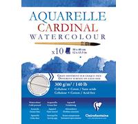 Clairefontaine - Ref 96196C - Cardinal Watercolour Glued Pad (10 Sheets) - 30 x 40cm Sized, 300gsm Paper, Acid Free, pH Neutral - Suitable for Watercolour