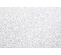 Clairefontaine - Ref 96387C - Etival Classic Grained Loose Sheets for Watercolour Painting & Drawing (25 Sheets of Paper) - 50 x 65cm - 200gsm Cellulose Art Paper