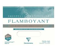 Clairefontaine - Ref 975065C - Flamboyant Watercolour Glued Pad (20 Sheets) - 31 x 41cm Size, Rough Grain, 300gsm Paper - Suitable for Watercolour Artwork