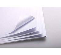 Clairefontaine - Ref 975188C - Bristol White Squared Paper (20 Sheets) - 50 x 65cm Size, 320gsm Paper, Squared Rulings - Suitable for Pencil, Technical Pen, Indian Ink, Felt Nibs