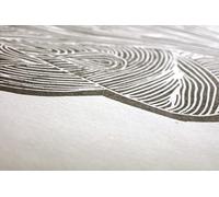 Clairefontaine - Ref 975205C - Simili Japon Paper Sheets (10 Sheets) - 50 x 65cm in Size, 250gsm 100% Pure Cellulose Ivory Paper, Acid Free, pH Neutral