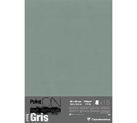 Clairefontaine - Ref 975812C - Paint'ON Multi-Technique Grey Paper (15 Sheets) - 50 x 65cm, 250gsm Heavyweight Paper, Slight Rough Grain, Acid Free, pH Neutral