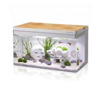 Clairnara Harmony Deluxe 8 Gallon All-in-One Aquarium Kit, Award-Winning Fish Tank with Lid, Integrated Filtration, LED Light, Low-Iron Glass, White Tank with Cedar Grain Top