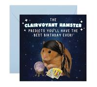 Clairvoyant Hamster Birthday Card - Crystal Ball Tarot Prediction - Greetings for Mate Sister Brother Partner Friend Bestie BFF Colleague Coworke Him Her - Good Vibes- Comes with Stickers
