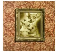 Clam Abuse - Stop Thinking