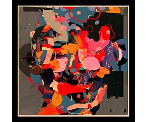 Clap! Clap! - Liquid Portraits [VINYL]