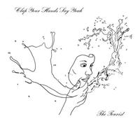 Clap Your Hands Say Yeah - The Tourist [VINYL]