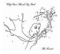 Clap Your Hands Say Yeah - The Tourist [VINYL]