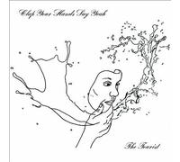Clap Your Hands Say Yeah - The Tourist [VINYL]