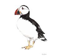 Clare Baird Creations Tea Towel in a Puffin Design