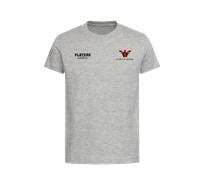 Clarence Seedorf Logo Kids T-Shirt - Gray / 5-6 years